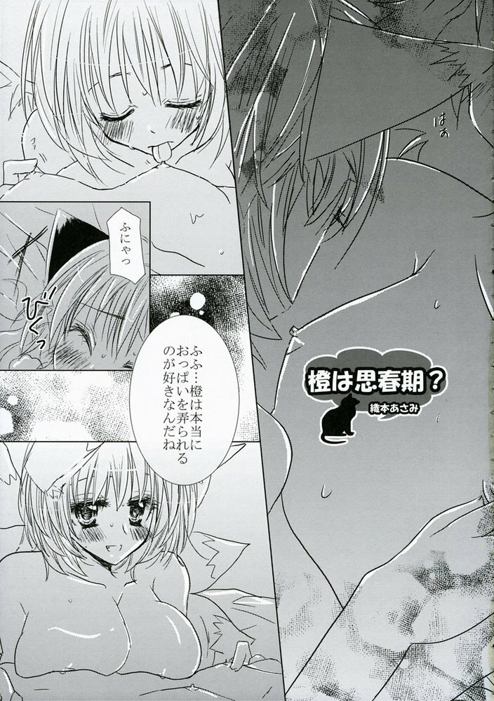 (SC34) [Oppai Brothers (Various)] Touhou Chichi Ranbu (Touhou Project) page 10 preview