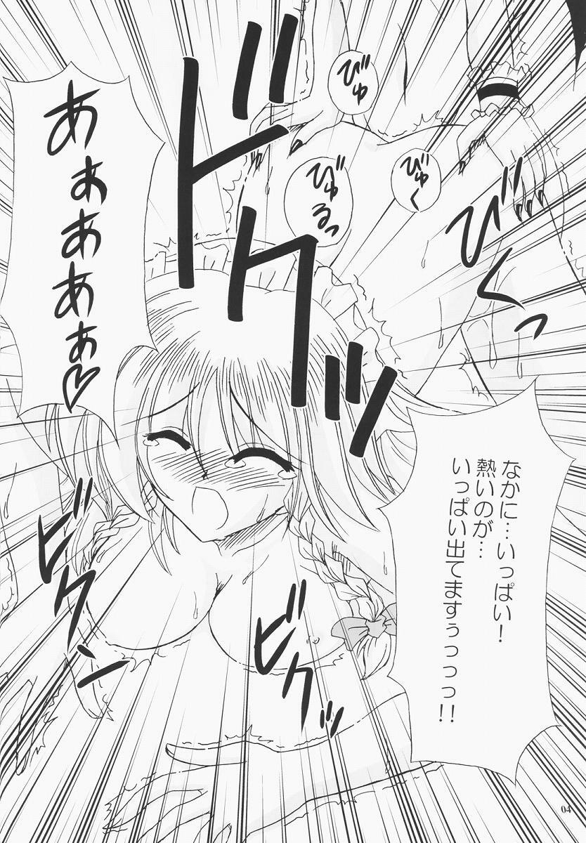 (C68) [Reverse Noise (Yamu)] Secret addition Zenpen (Touhou Project) page 3 preview