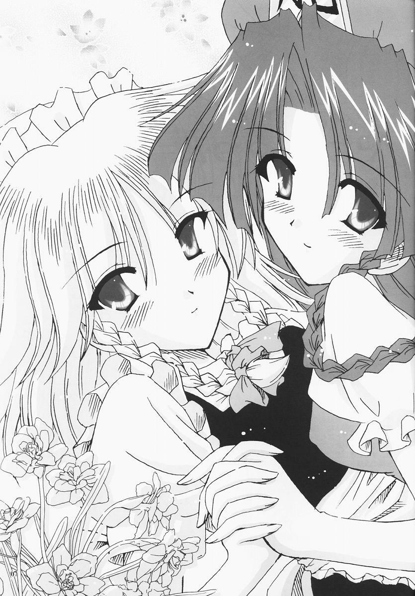 (C68) [Reverse Noise (Yamu)] Secret addition Zenpen (Touhou Project) page 6 preview
