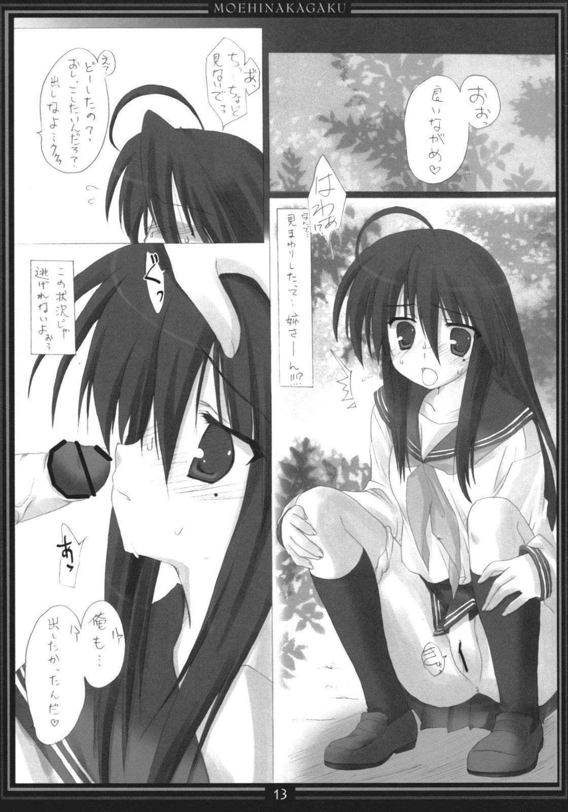 [Moehina Kagaku (Hinamatsuri Touko)] STAR SANCTUARY (Lucky Star) page 12 preview