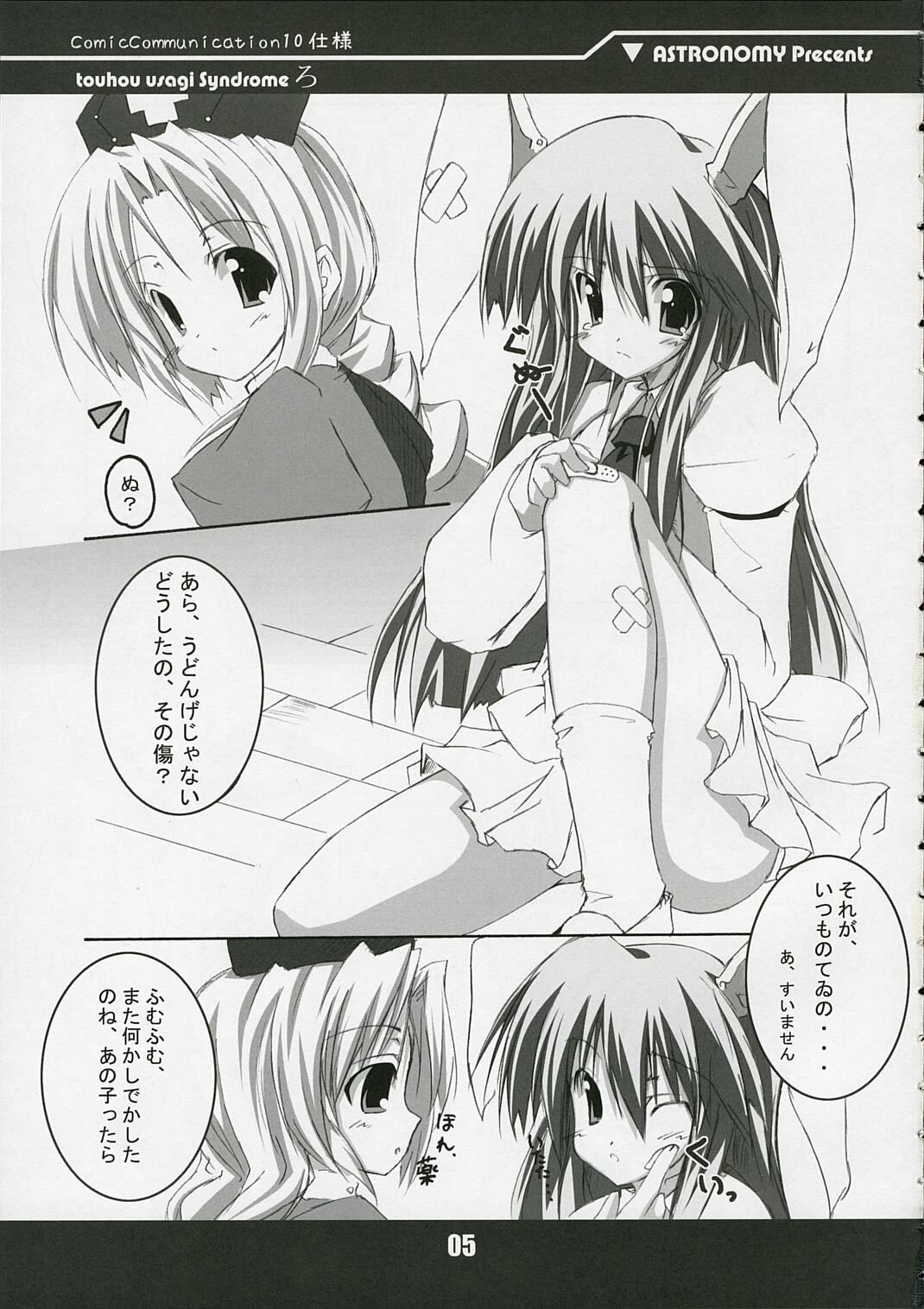 (ComiComi10) [ASTRONOMY (SeN)] touhou usagi Syndrome Ro (Touhou Project) page 5 preview