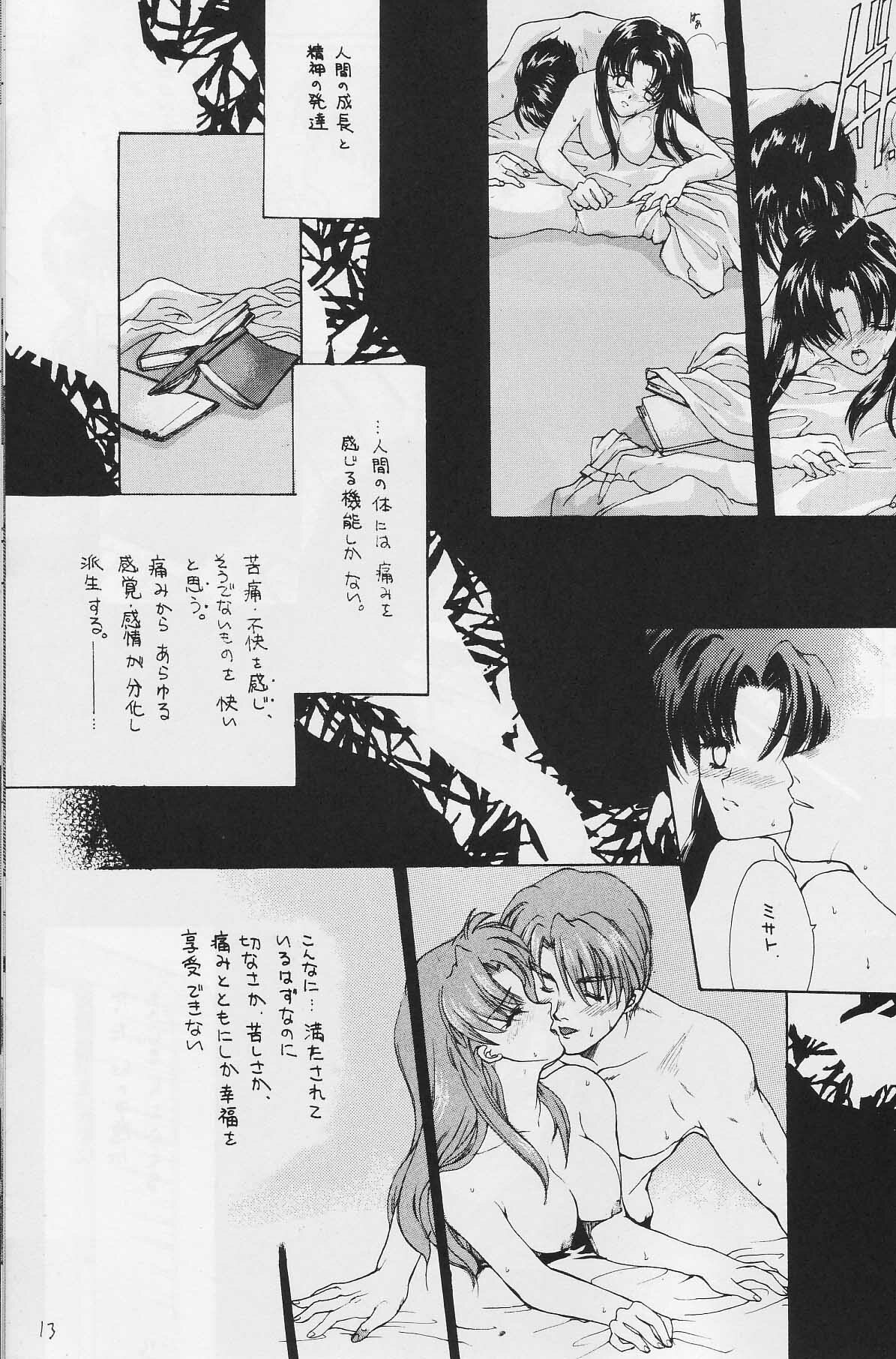 [Hanzai Tengoku (Hasei Agana)] CAIN (Neon Genesis Evangelion) page 12 preview