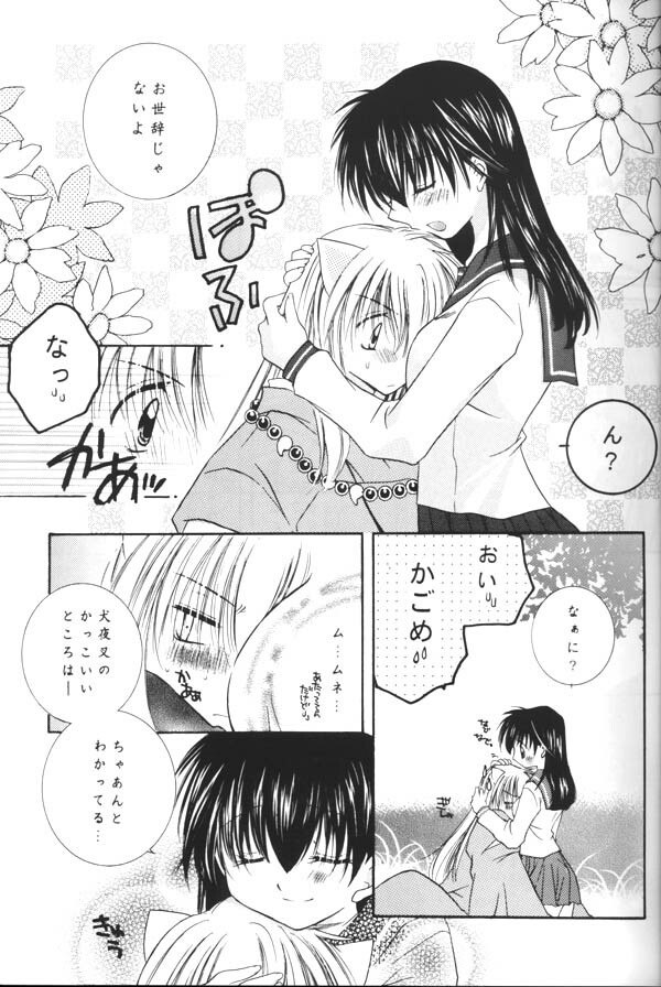 (C64) [Sakurakan (Seriou Sakura)] Koikaze Fukaba Akanezora (Inuyasha) page 10 preview