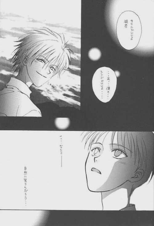 (C51) [Zaougumi (Zaou Taishi)] Lost Sheep (Neon Genesis Evangelion) page 3 preview