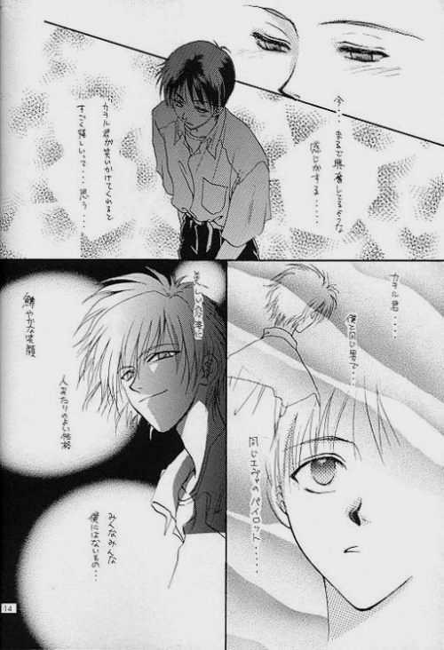 (C51) [Zaougumi (Zaou Taishi)] Lost Sheep (Neon Genesis Evangelion) page 12 preview