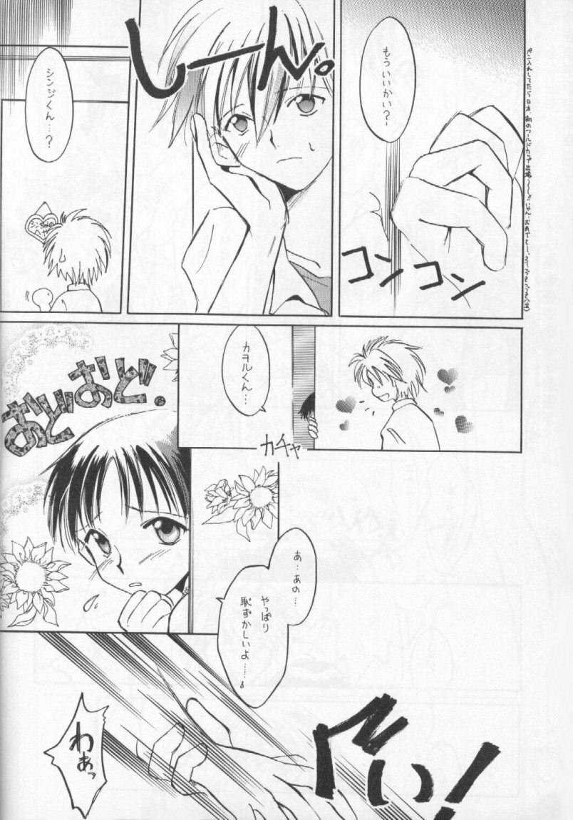(C53) [Fairy Tale House (Phoenicia Masako, Senami Rio, Shimizu Mary)] FRESH STRAWBERRY (Anna Miller's, Neon Genesis Evangelion) page 7 preview