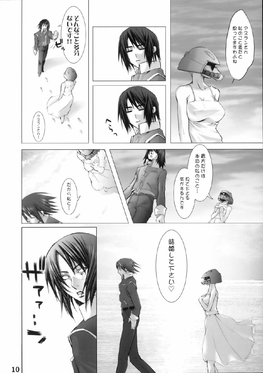 (C68) [DIGITAL ACCEL WORKS (INAZUMA.)] Super Freedom (Gundam SEED DESTINY) page 9 preview