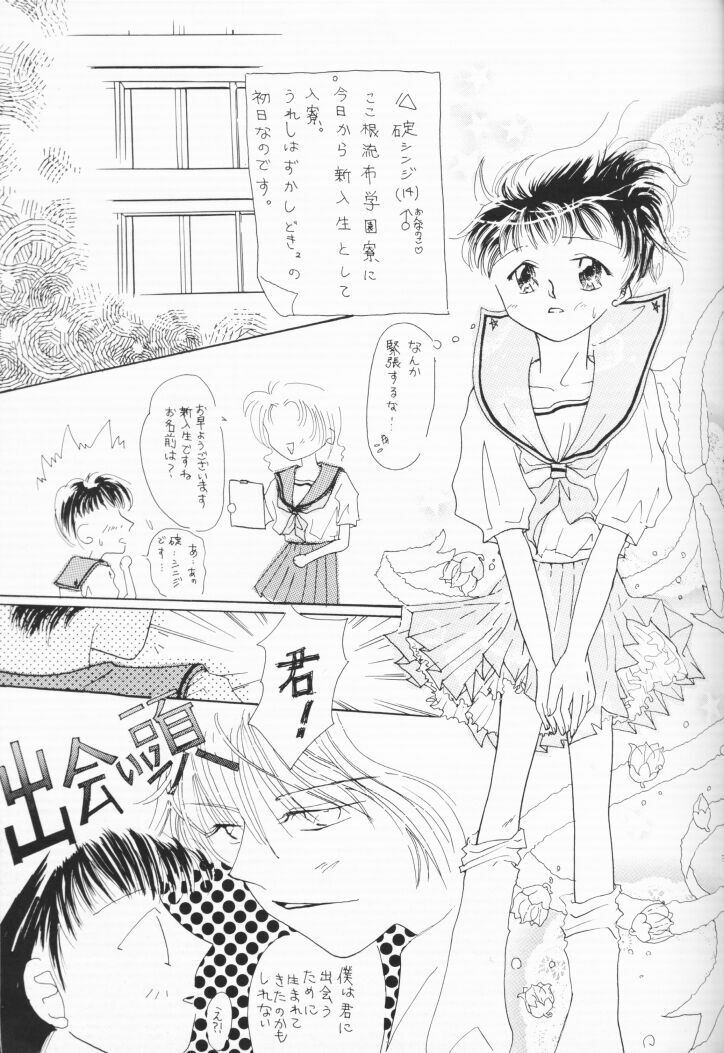 [Nakajima Emiko] Himitsu no Hanazono (Neon Genesis Evangelion) page 4 preview