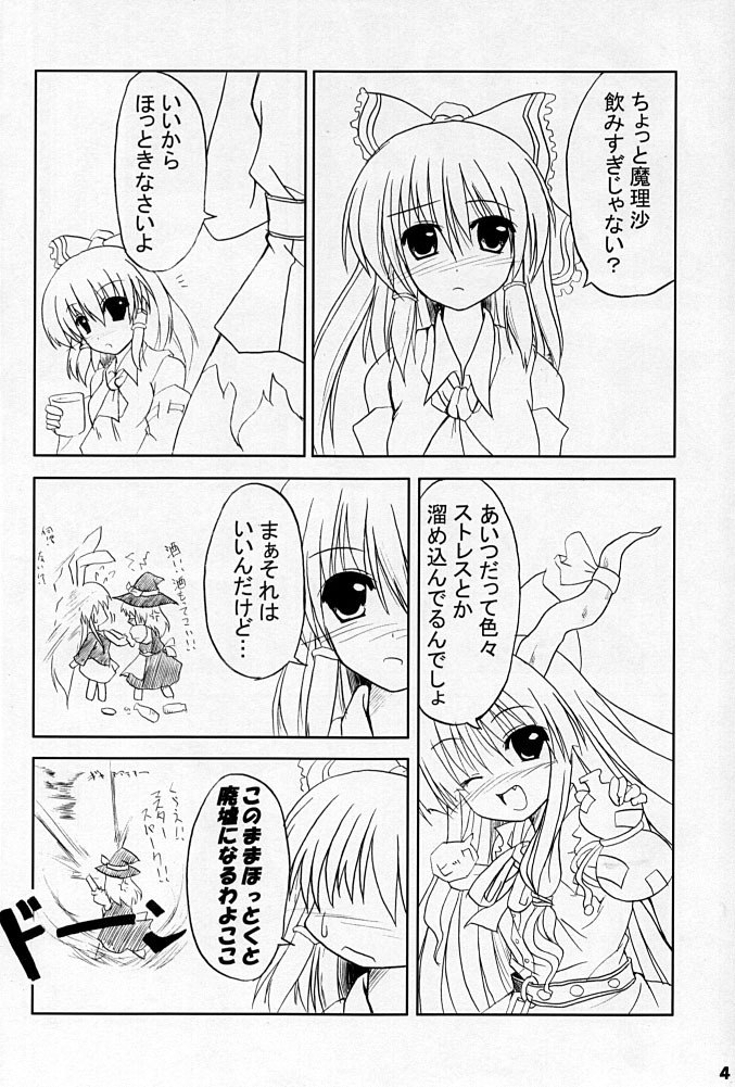 (CR37) [SeaFox (Kirisaki Byakko)] Keep Out (Touhou Project) page 3 preview