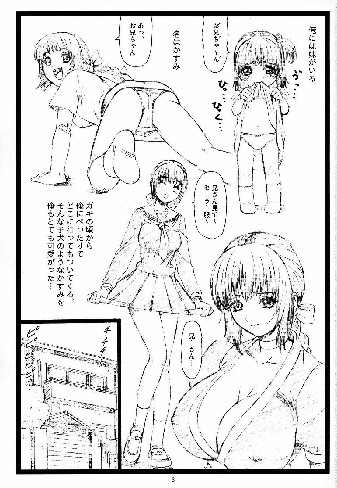 (C72) [Ohkura Bekkan (Ohkura Kazuya)] Haitoku no Yakata ~Kasumi~ (Dead or Alive) page 2 preview