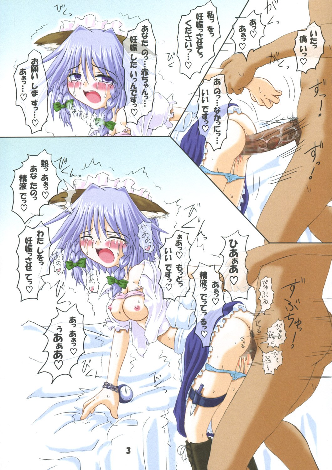 (Reitaisai 2) [Schwester (Inasaki Shirau)] Rollin 17 (Touhou Project) page 2 preview