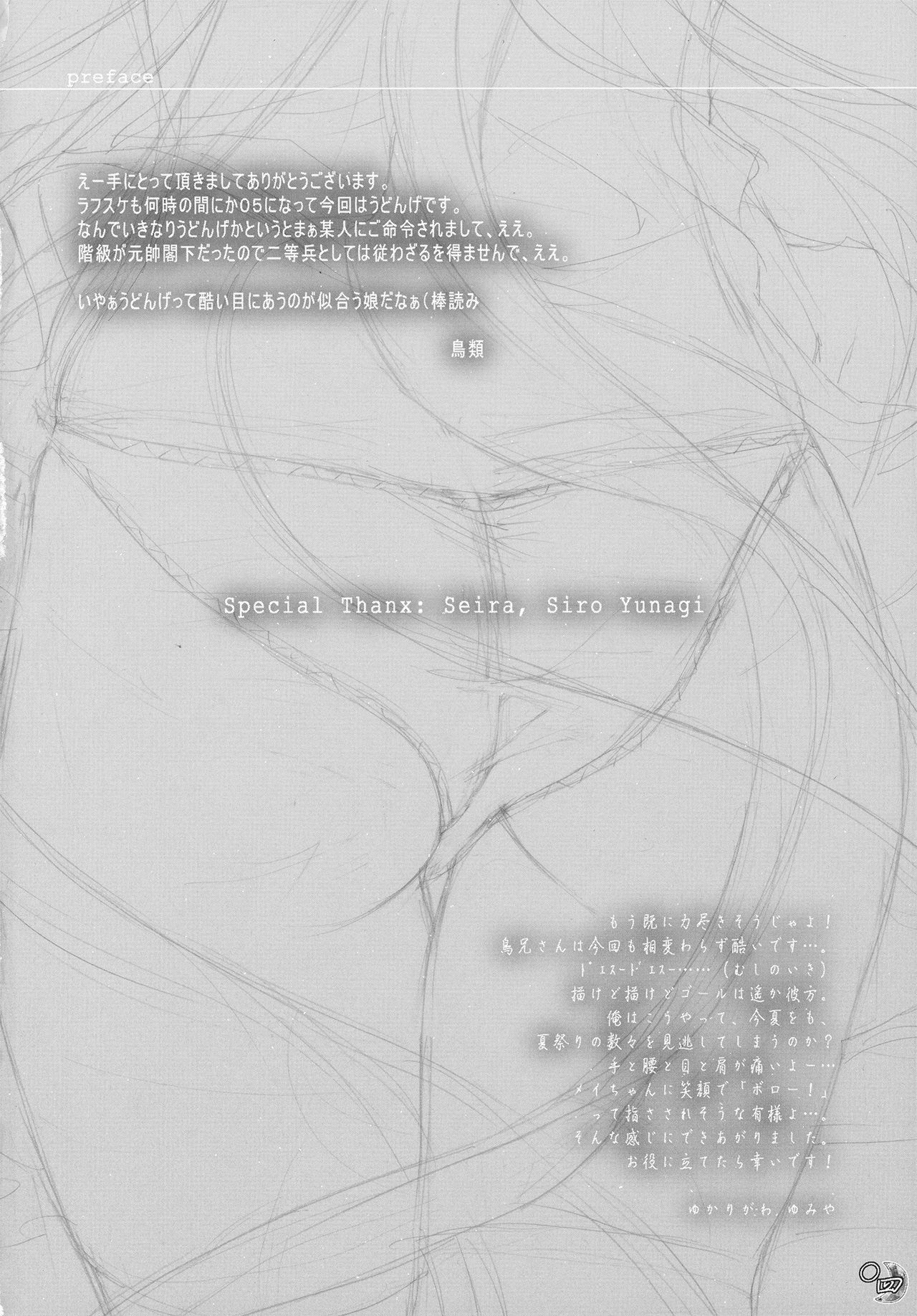 (C78) [Kinetoscope (Chourui, Yukarigawa Yumiya)] Kinetoscope Rough Sketch 05 (Touhou Project) page 4 preview