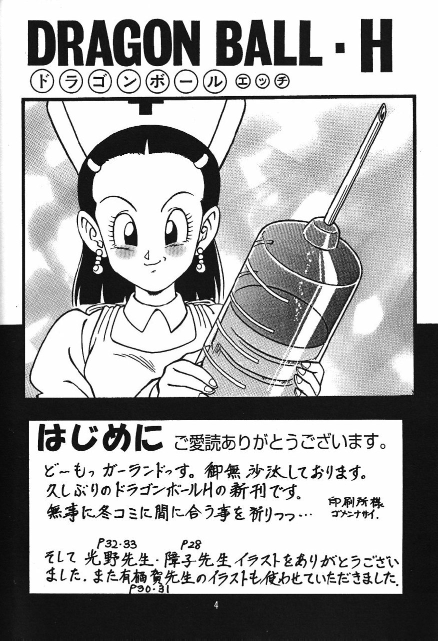 (C71) [Rehabilitation (Garland)] DragonBall H Maki San (Dragon Ball Z) [English] [hyarugu] page 3 preview