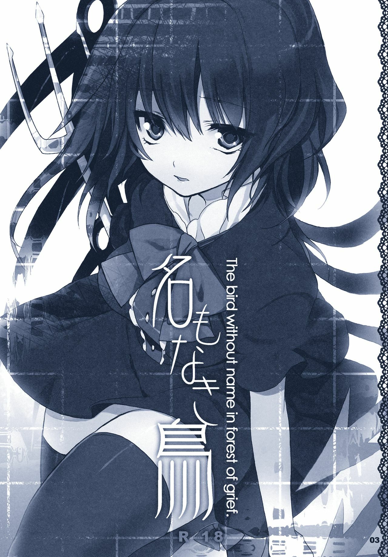 (C78) [super:nova (Yukimachi Tounosuke)] Na Mo Naki Tori - The bird without name in forest of grief. (Touhou Project) page 3 preview