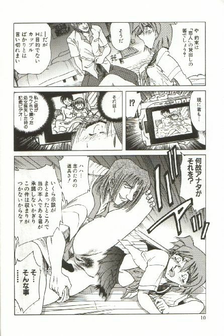 [SHIZUKA] Kinbaku Choukyou ~Aido Shigan~ page 12 preview