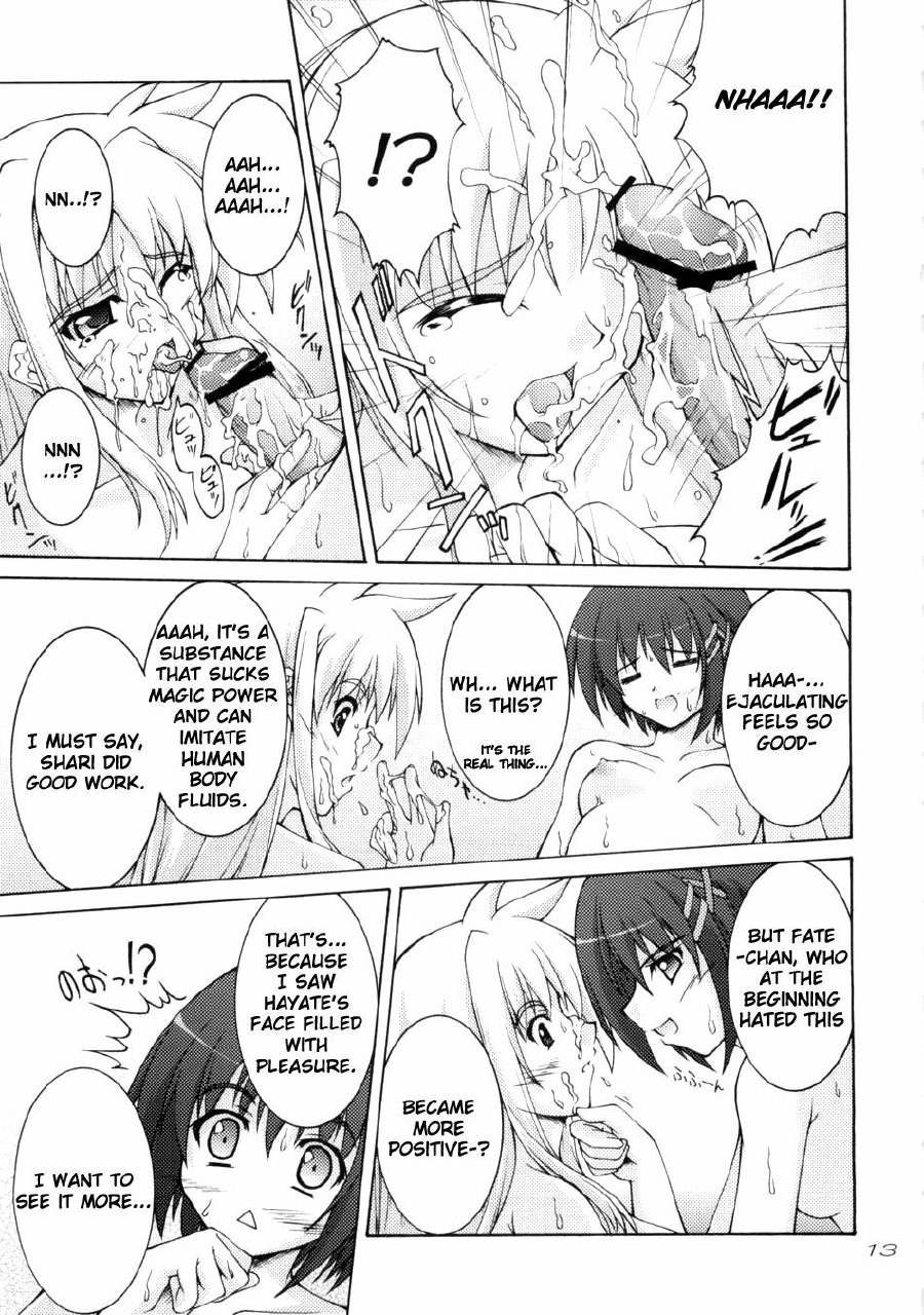 (C75) [Seitokaishitsu (Akimoto Dai)] Rokka wa Honjitsu mo Ijounashi (Mahou Shoujo Lyrical Nanoha) [English] page 11 preview