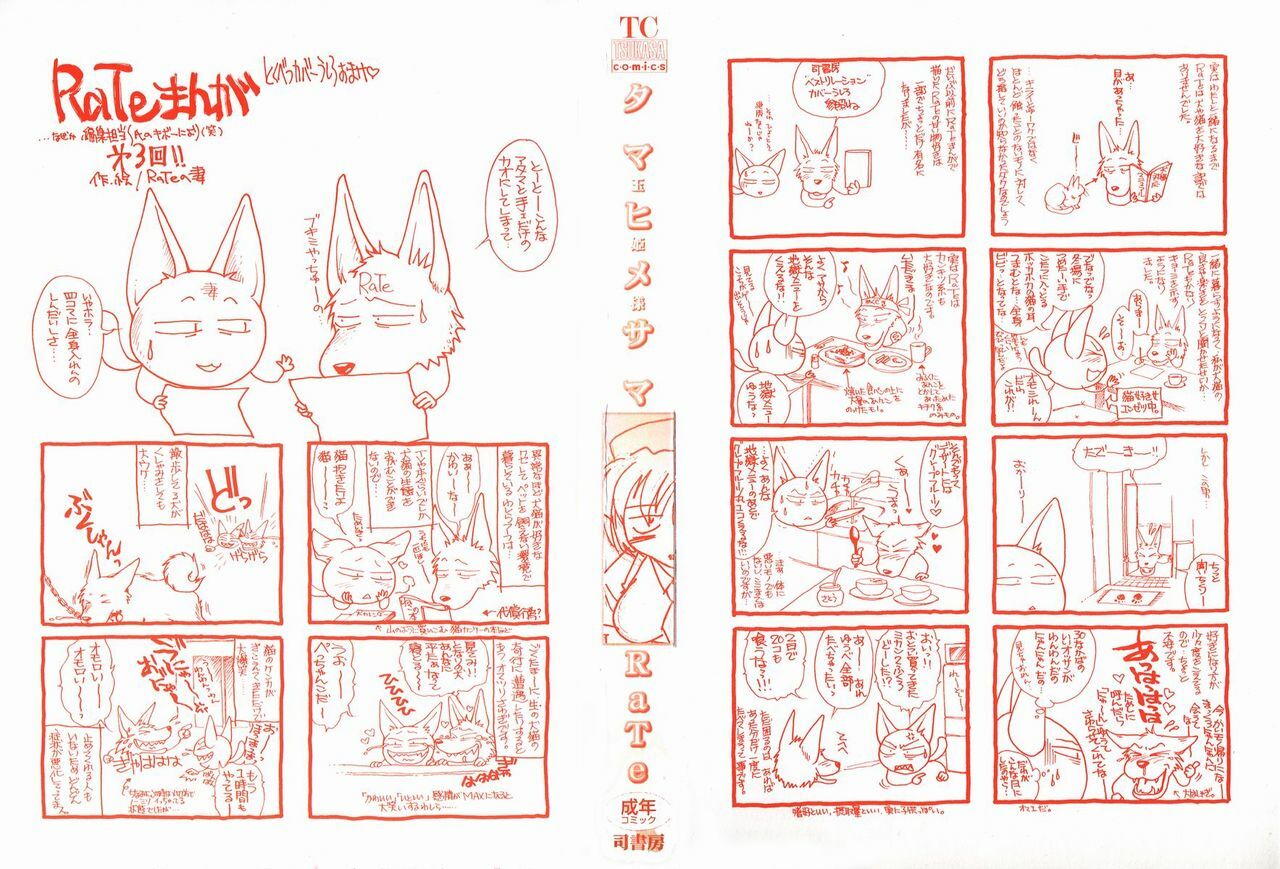 [RaTe] Tamahime Sama page 2 preview