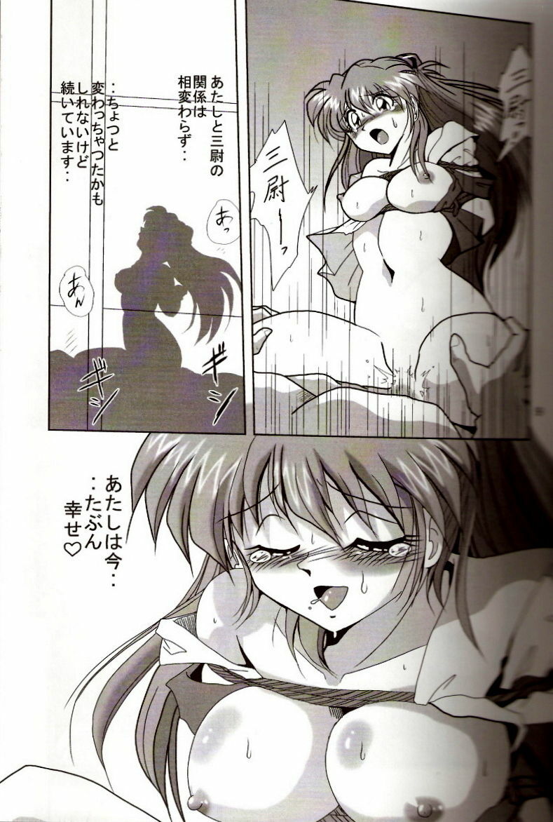 [Thirty Saver Street 2D Shooting (Maki Hideto, Sawara Kazumitsu)] Second Hobaku Project 2 (Neon Genesis Evangelion) page 8 preview