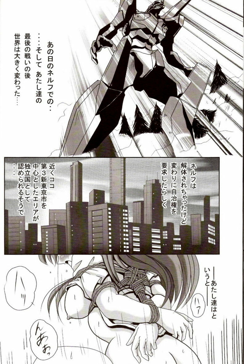 [Thirty Saver Street 2D Shooting (Maki Hideto, Sawara Kazumitsu)] Second Hobaku Project 2 (Neon Genesis Evangelion) page 7 preview