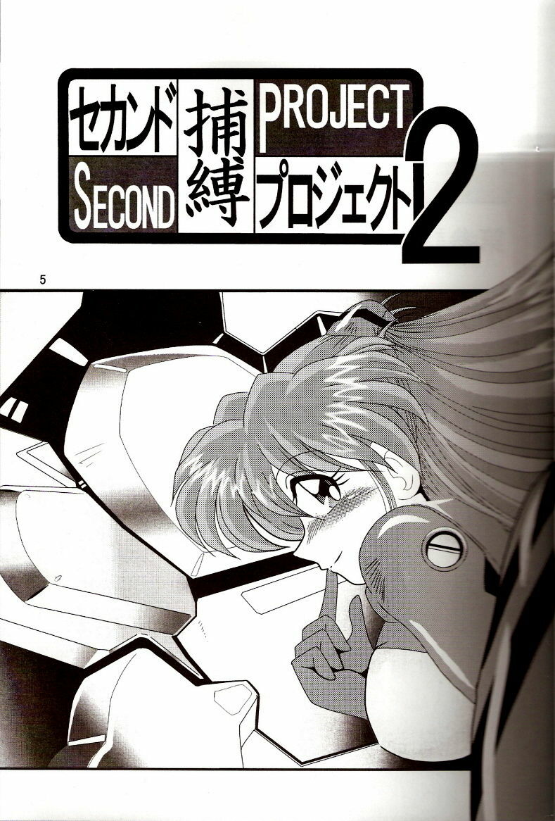 [Thirty Saver Street 2D Shooting (Maki Hideto, Sawara Kazumitsu)] Second Hobaku Project 2 (Neon Genesis Evangelion) page 4 preview