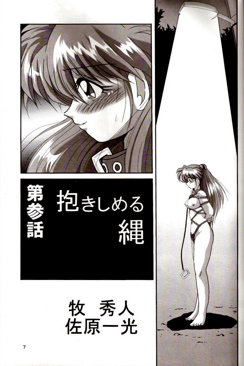 [Thirty Saver Street 2D Shooting (Maki Hideto, Sawara Kazumitsu)] Second Hobaku Project 2 (Neon Genesis Evangelion) page 6 preview