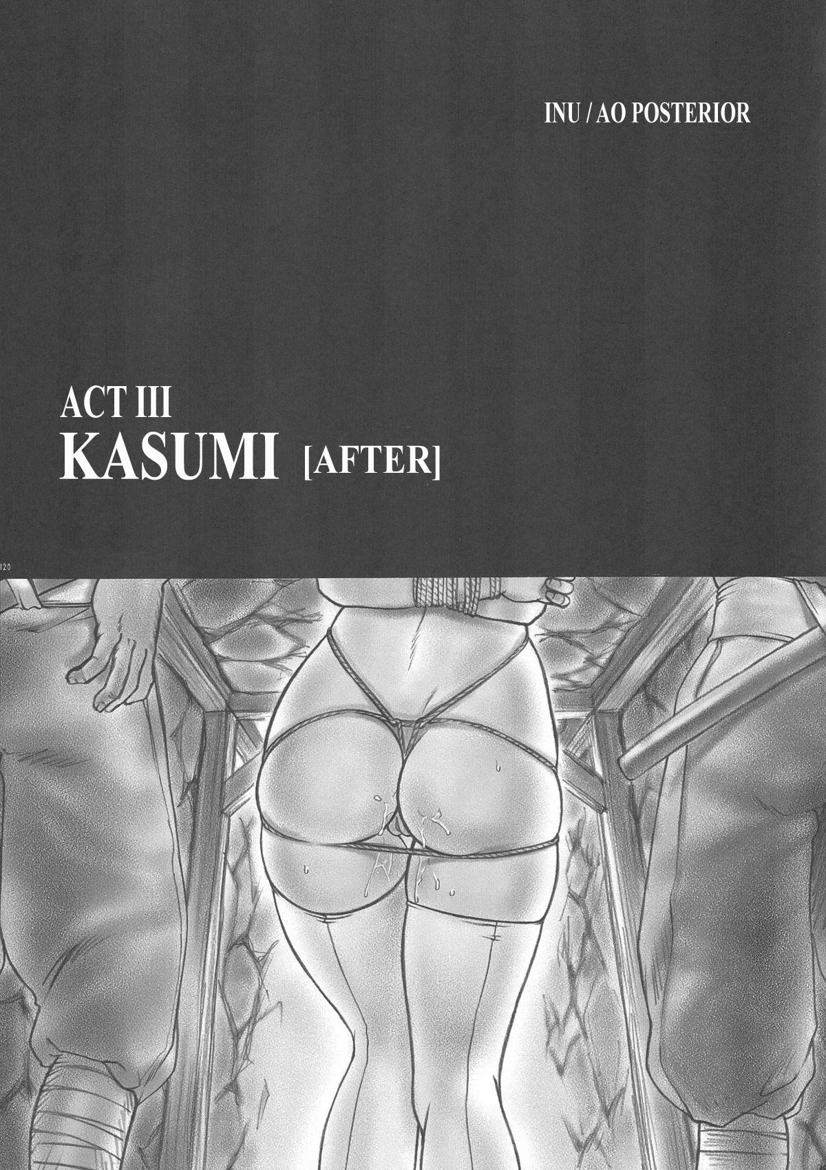 (C61) [Hellabunna (Iruma Kamiri)] INU/AO Posterior (Dead or Alive) [English] [Kletian] [Decensored] page 9 preview