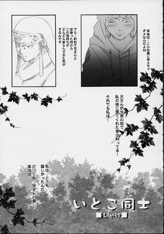 (C67) Honey Bunny (Naruto) page 3 preview
