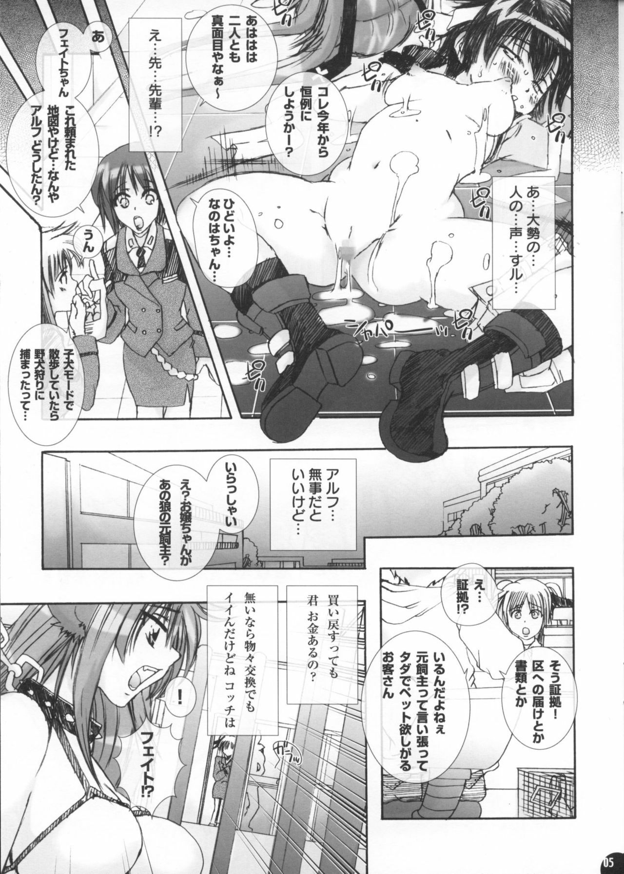 (SC35) [PLECO (Chikiko)] PLECO StrikerS 9.5 (Mahou Shoujo Lyrical Nanoha StrikerS) page 4 preview