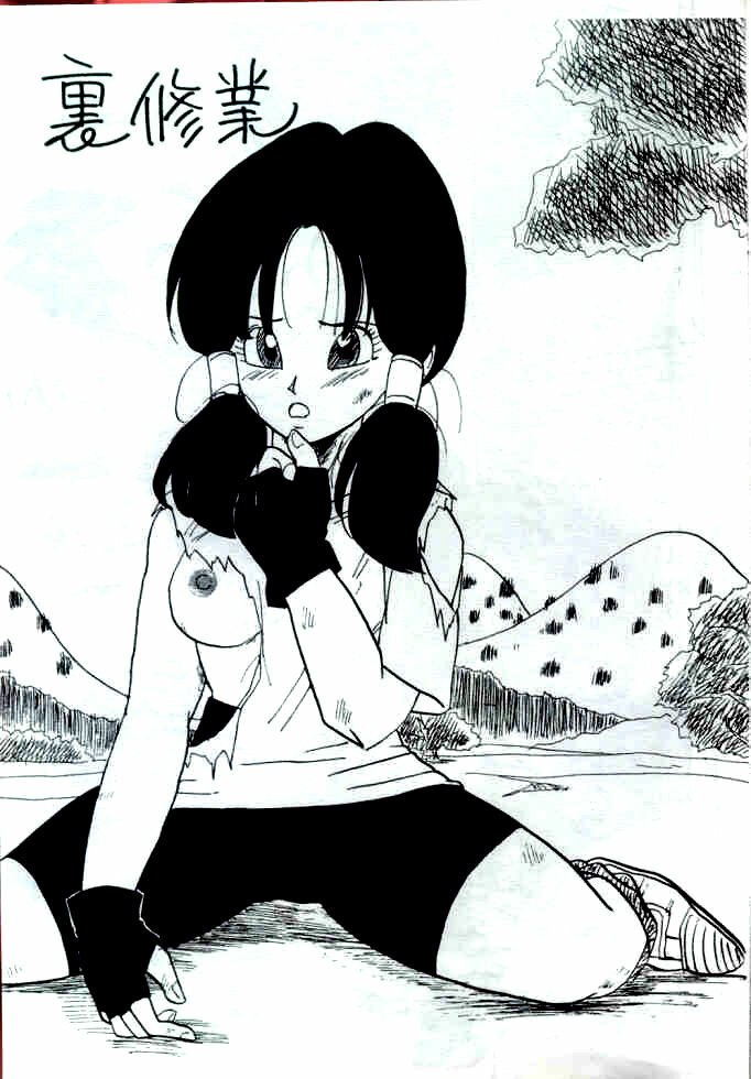 (C44) [Chirigami Goya, Fusuma go Ten (Shoji Hariko)] XX (Dragon Ball Z) [English] page 4 preview