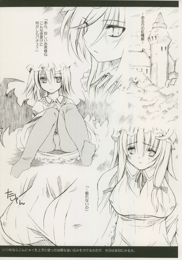 (Reitaisai 2) [Douganebuibui (Aburidashi Zakuro)] Shimai de Kekkontte Houritsujou OK dayone? | Is it legal for sisters to marry? (Touhou Project) page 3 preview