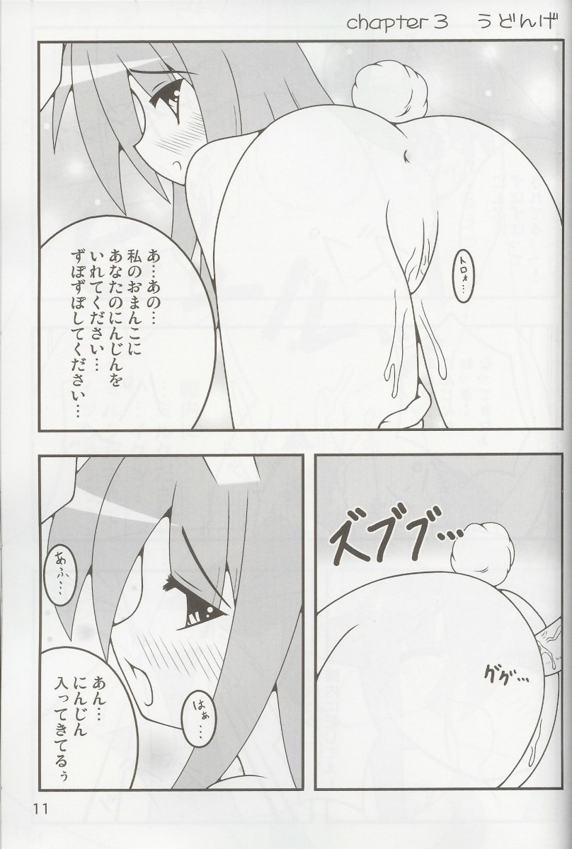 (Futaket 3) [Kara no Tsuki (Minadzuki Maya, Toono Yayoi)] Touhou Mousou Kyou 4 | Delusional Village 4 (Touhou Project) page 10 preview