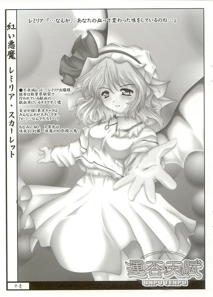 (Reitaisai) [Luft Forst (KAZAMI Rei)] Moe Touhou Gensoukyou - Unpu Tenpu (Touhou Project) page 10 preview