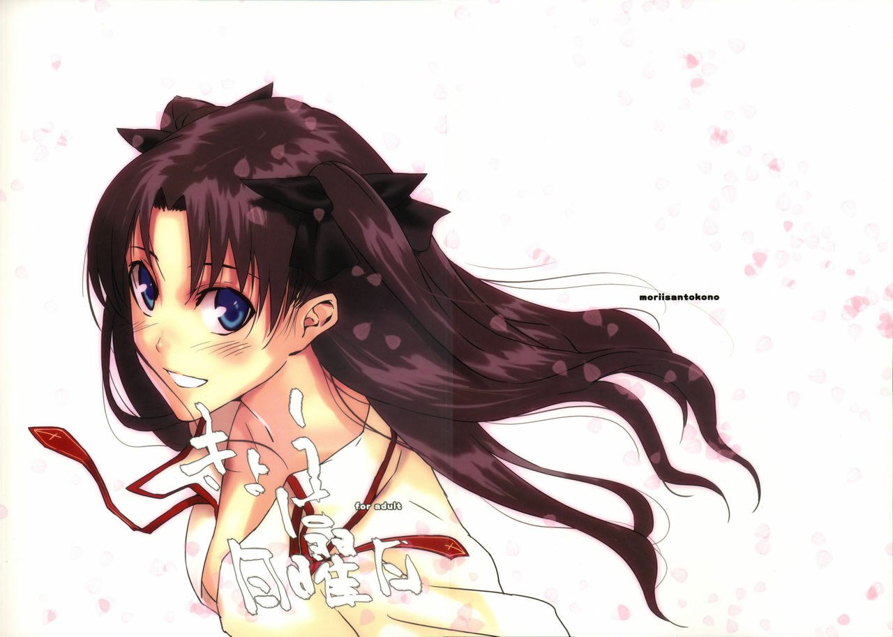 (C71) [Moriisan-Tokono (Morii Shizuki)] Kyouha Nichiyoubi. (Fate/stay night)