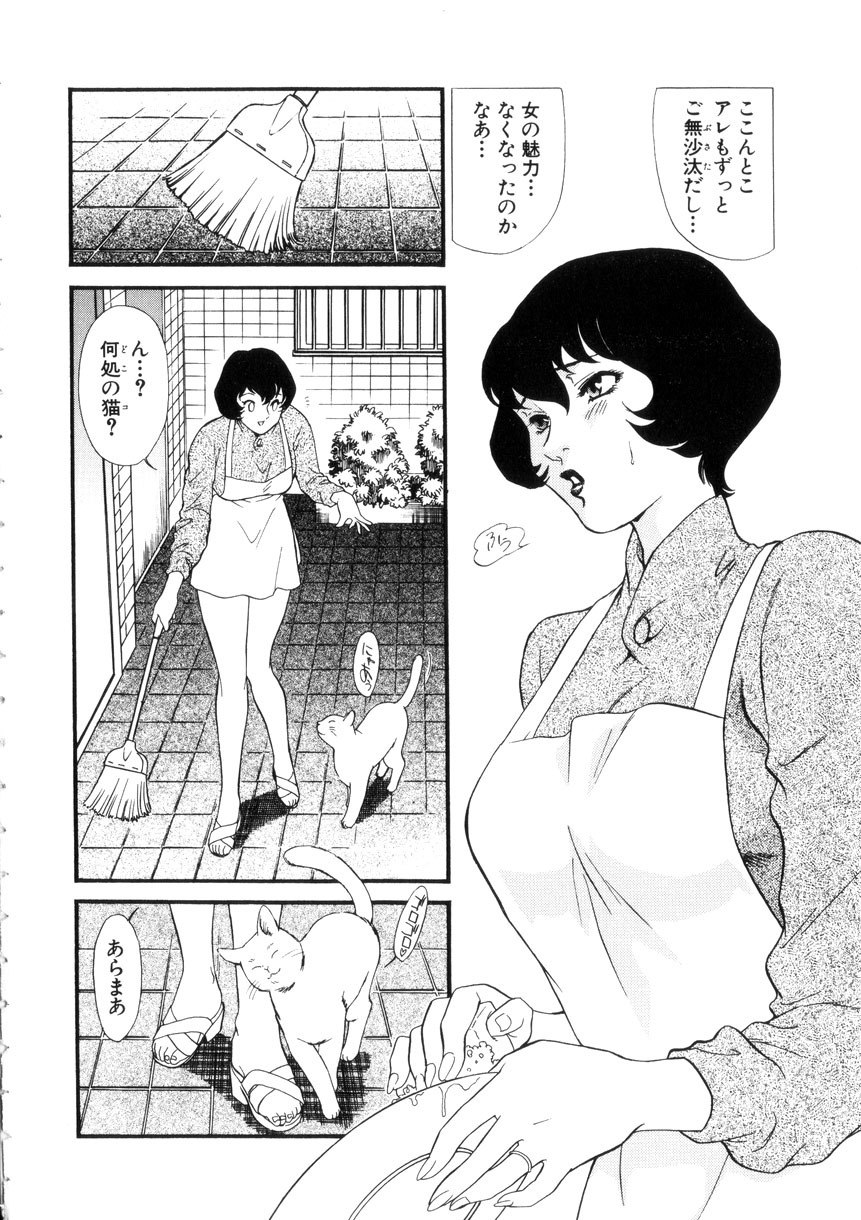 [Fujii Akiko, Akiyama Michio] Hitozuma Moyou 4 Yogarizuma page 7 preview