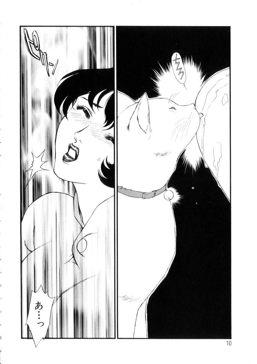 [Fujii Akiko, Akiyama Michio] Hitozuma Moyou 4 Yogarizuma page 11 preview