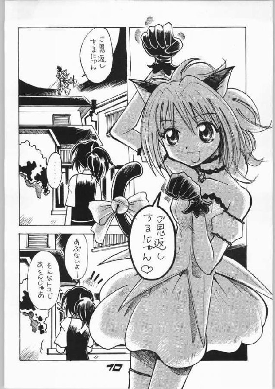 (C63)  Goongaeshi Suru Nyan (Tokyo Mew Mew) page 10 preview