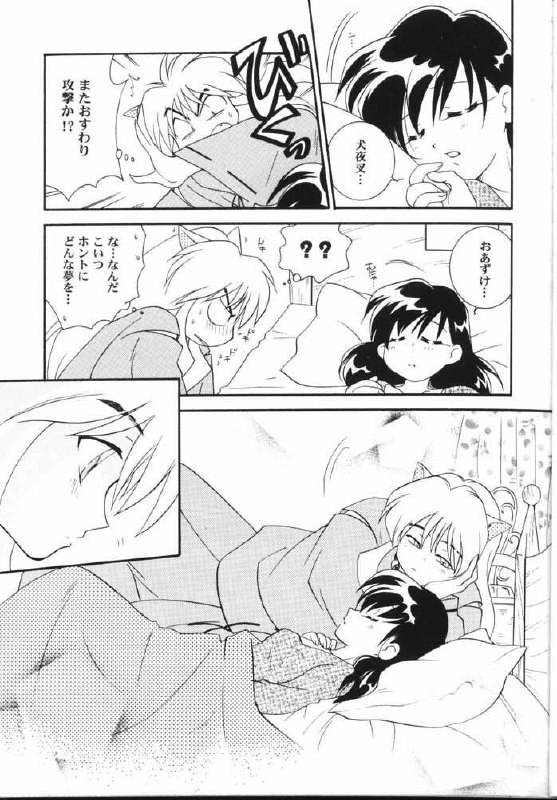 (C59) [Yamaguchirou (Yamaguchi Shinji)] Hama 2 (Sengoku Otogizoushi Inuyasha) page 8 preview