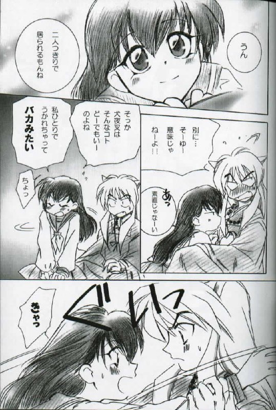 (C58) [Yamaguchirou (Yamaguchi Shinji)] Hama (Inuyasha) page 4 preview