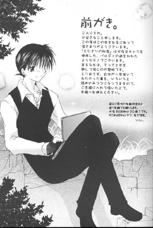 (C64) [Sakurakan (Seriou Sakura)] Tobikiri no Himitsu (Inuyasha) page 4 preview