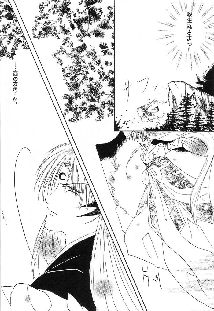 (C66) [Herohero Honpo (Kamiryou Kaduki)] Mutsumizuki (Inuyasha) page 5 preview