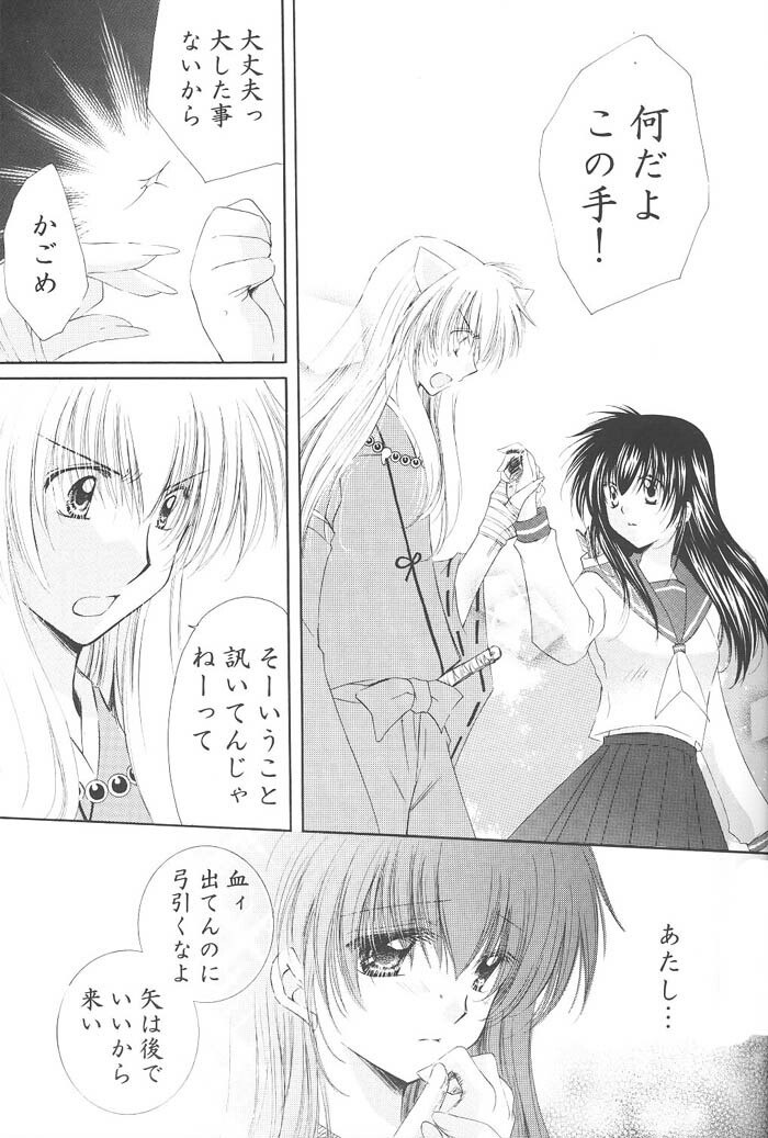 (C68) [Sakurakan (Seriou Sakura)] Kimagure Sousei (Inuyasha) page 8 preview