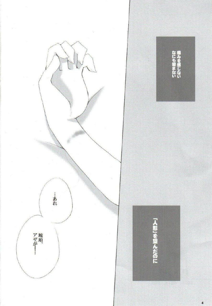 (MOON PHASE) [VISTA (Odawara Hakone)] Setsugekka (Tsukihime) page 3 preview