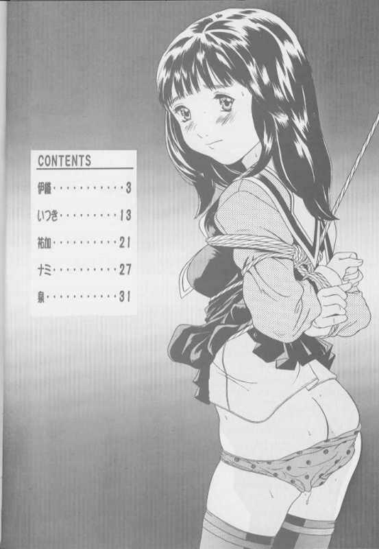 [MOMONGA-CLUB (Hayashibara Hikari)] I''s I''s heroine kannou illustration shuu (I"s) page 4 preview