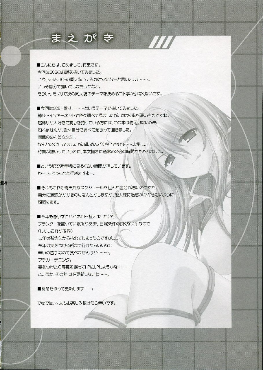 (SC31) [Alpha to Yukaina Nakamatachi (Alpha)] Anata no Hisho ga Tsukamarimashita (Gundam 0079 Card Builder) page 3 preview
