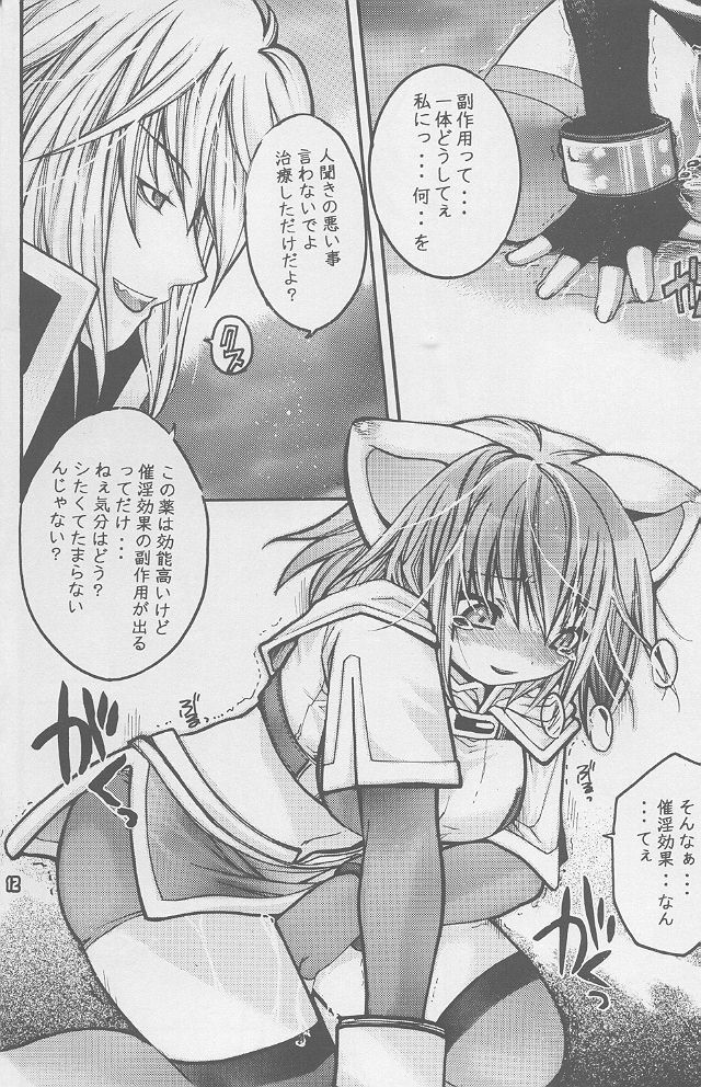 (SC20) [Seinansei ni Kagayakeru Hoshi (Morino Papiko)] Ragnarok Yawa Level.1 (Ragnarok Online) page 11 preview
