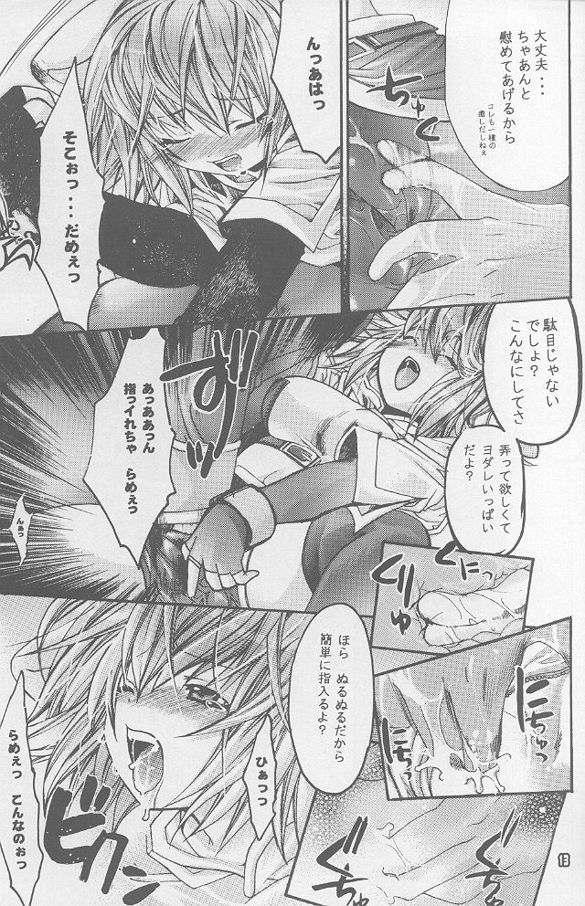 (SC20) [Seinansei ni Kagayakeru Hoshi (Morino Papiko)] Ragnarok Yawa Level.1 (Ragnarok Online) page 12 preview
