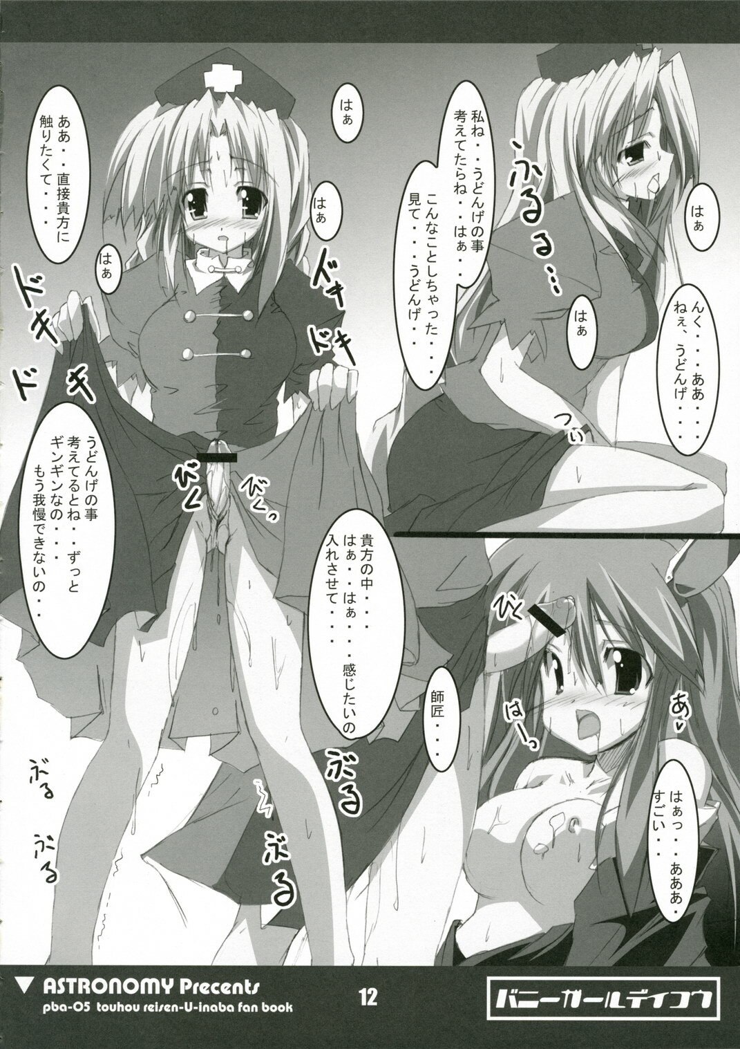 [ASTRONOMY (SeN)] Bunny Girl de Ikou (Touhou Project) page 11 preview