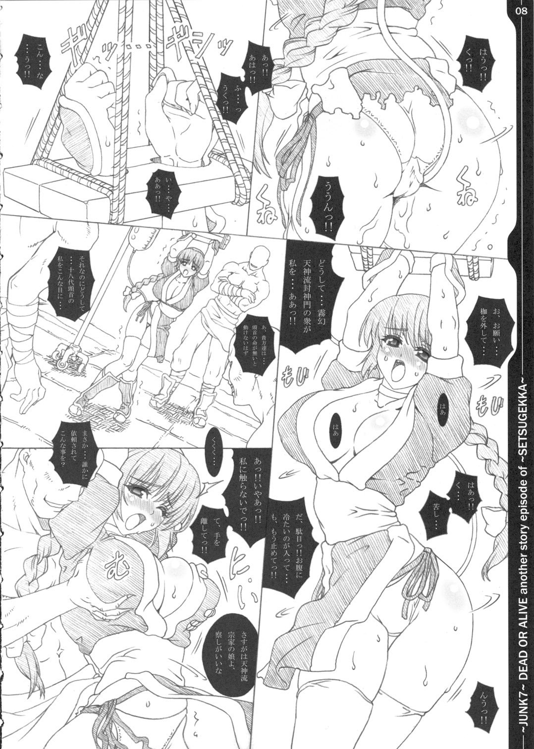 (C69) [Chill-Out (Fukami Naoyuki)] Junk 7 (Dead or Alive, Samurai Spirits) page 7 preview