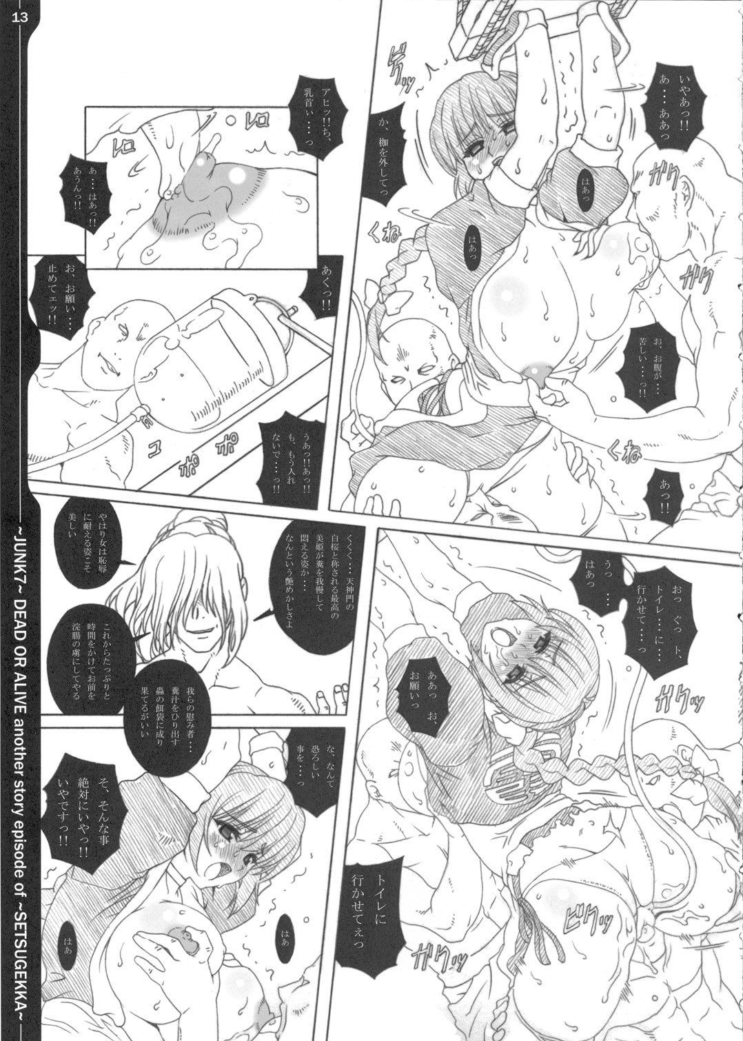 (C69) [Chill-Out (Fukami Naoyuki)] Junk 7 (Dead or Alive, Samurai Spirits) page 12 preview