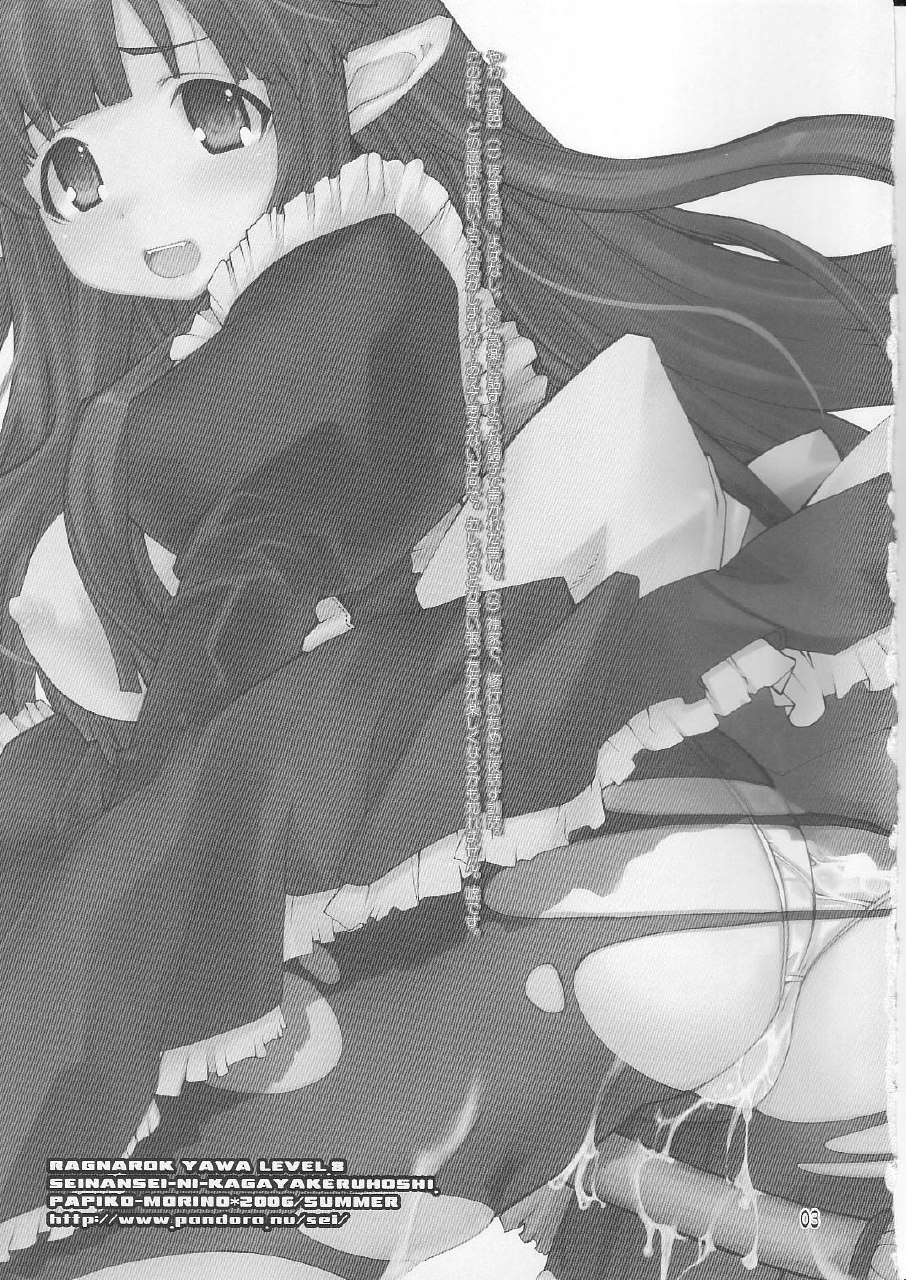 (C70) [Seinansei ni Kagayakeru Hoshi (Morino Papiko)] Ragnarok Yawa Level.8 (Ragnarok Online) page 2 preview